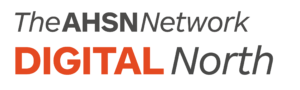 Digital North Logo