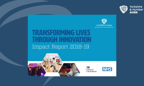 Transforming Lives Through Innovation Impact report 2018-19