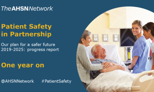 Patient Safety in Partnership: one year on