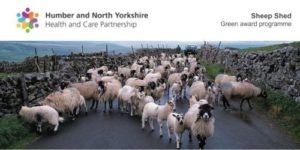 Picture of sheep on a country lane with the Humber and North Yorkshire logo